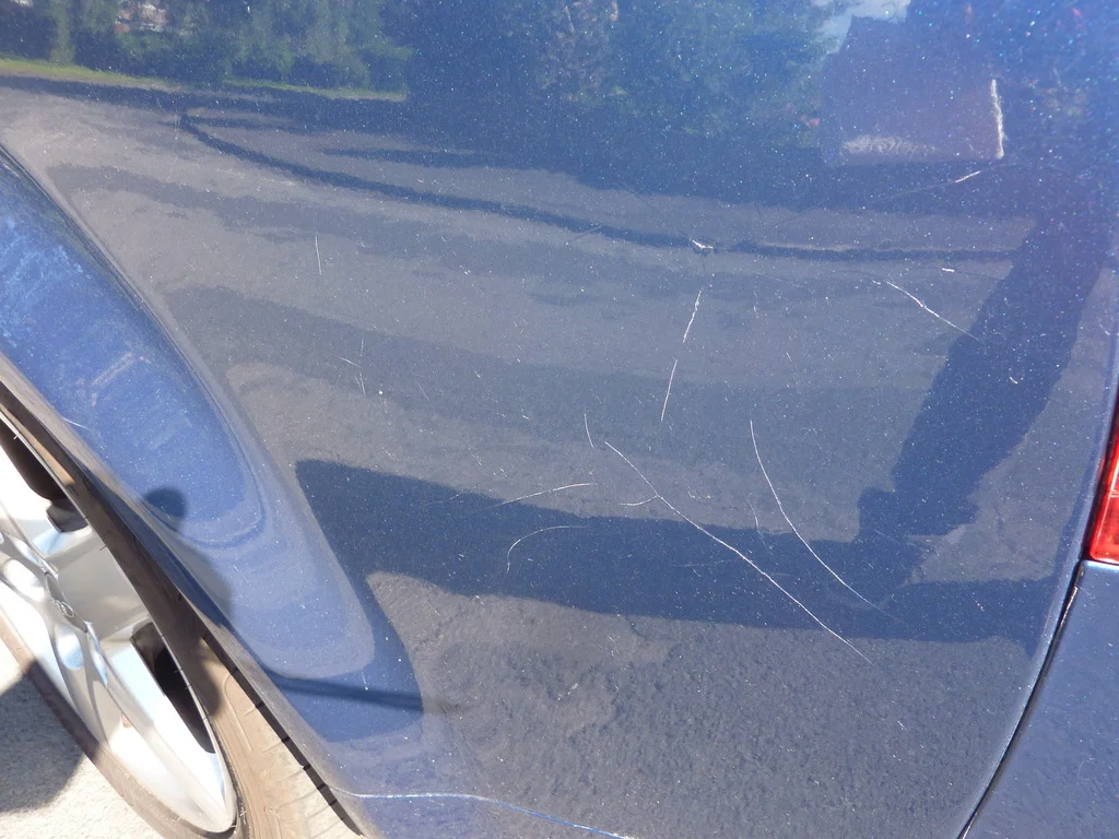 P1100231.webp