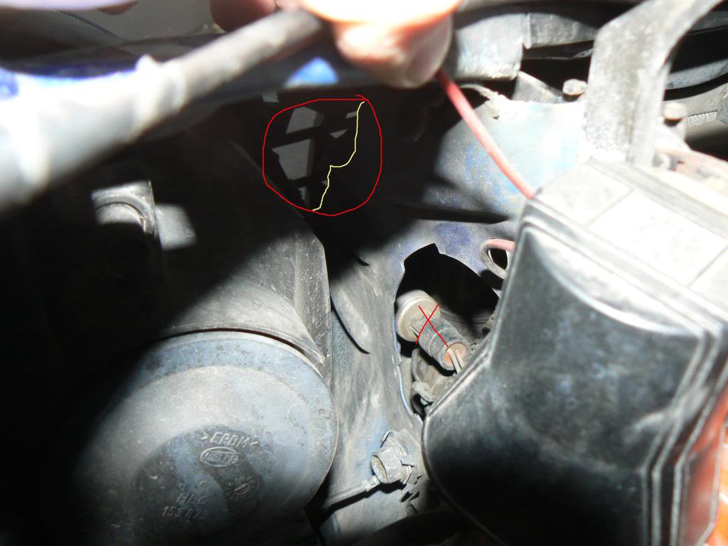 P1100415_M.jpg