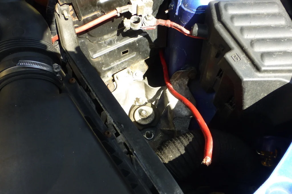 P1100430.webp
