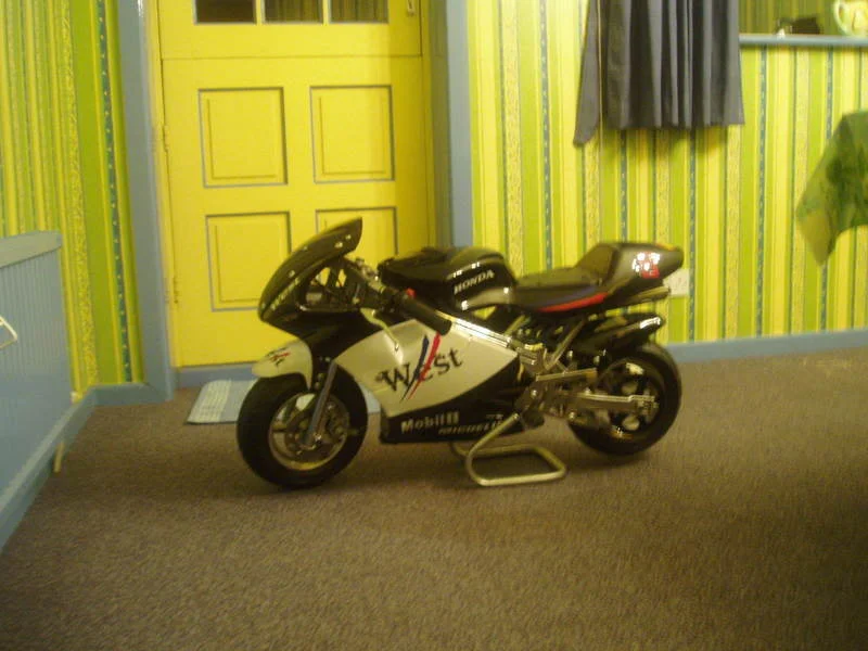 P1200090.webp