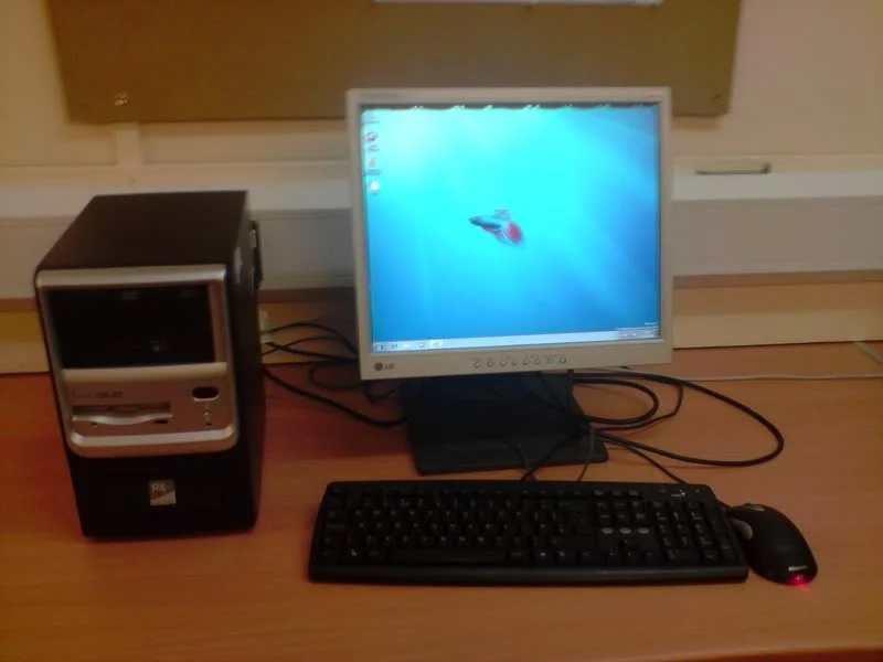 P120109_1555.webp