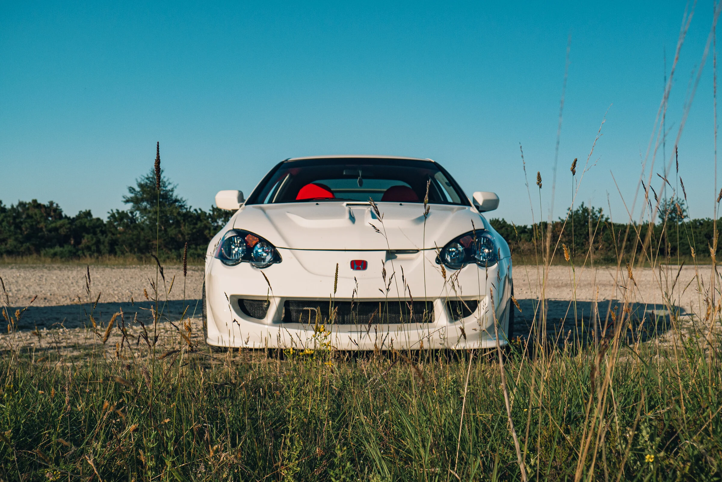 P1210760.webp