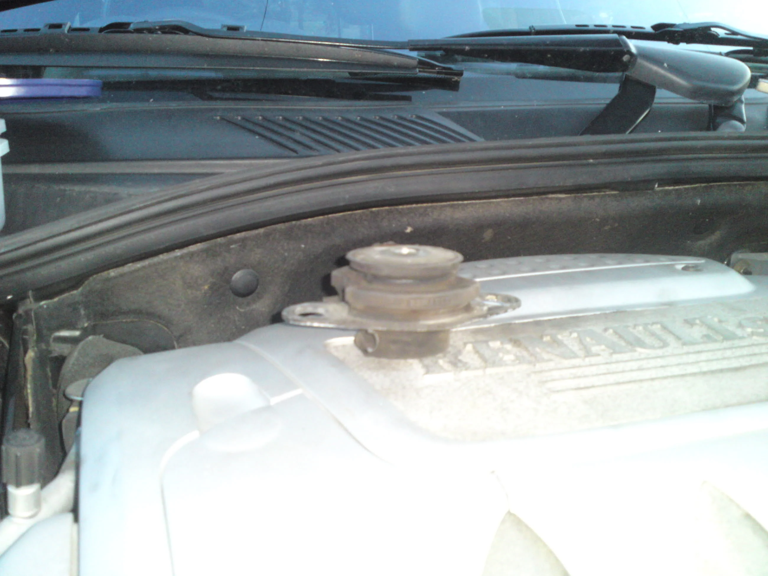 P16-06-09_2141.webp