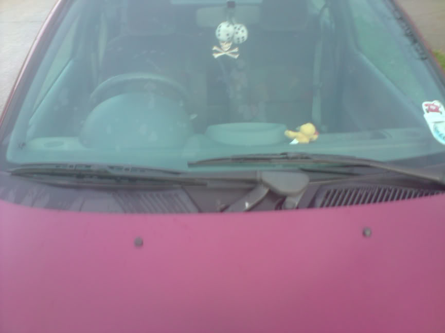 P160309_1719.jpg P160309_1719.jpg