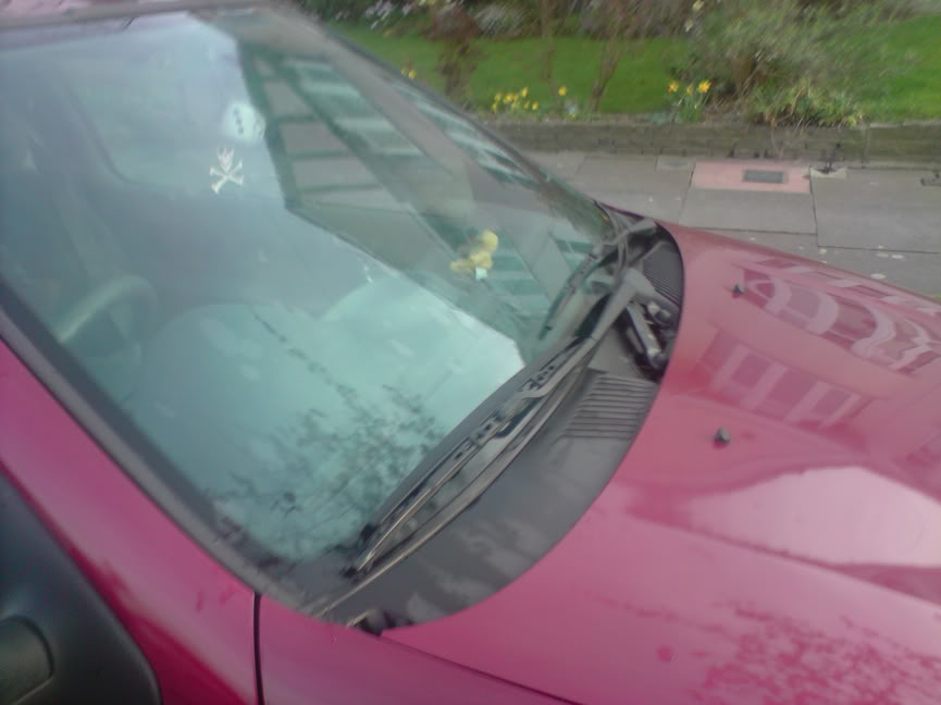 P160309_171901.jpg P160309_171901.jpg