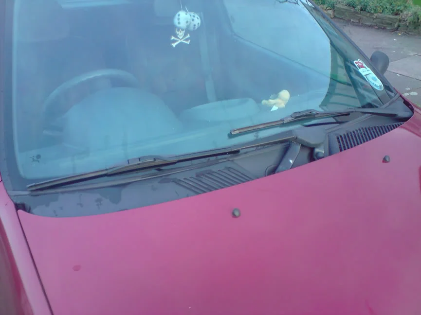 P160309_1737.webp