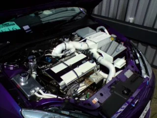 P190409_1331.webp