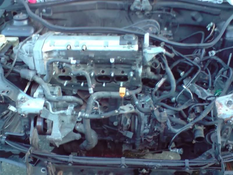 P200210_1700.webp