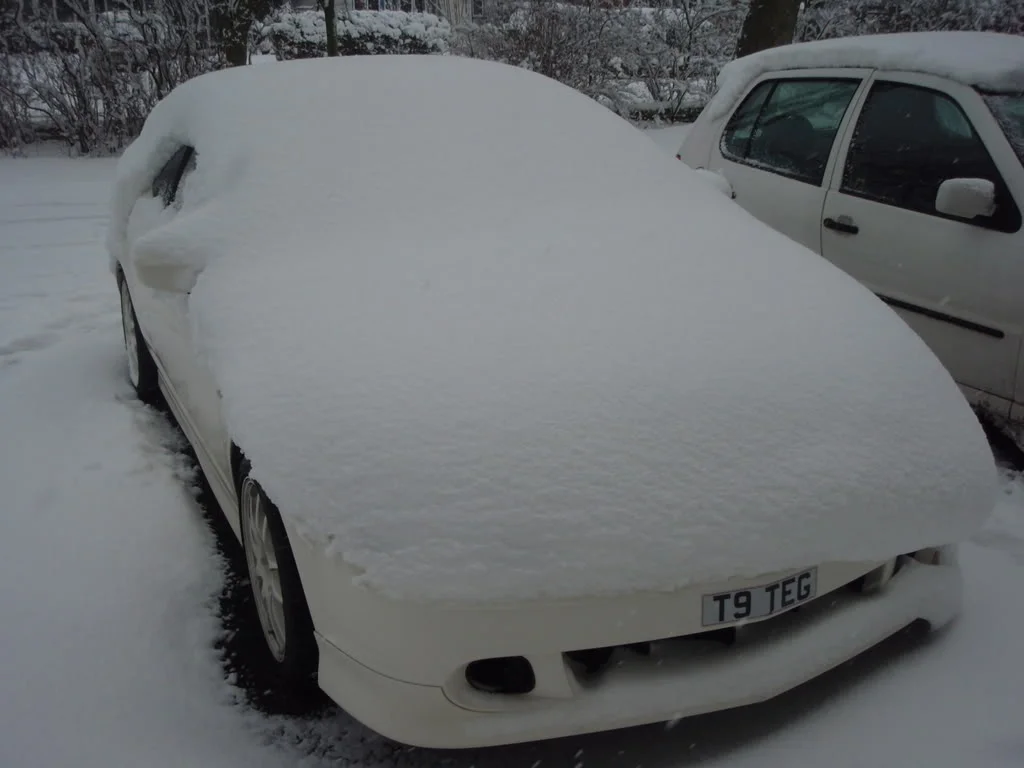 P2020351.webp