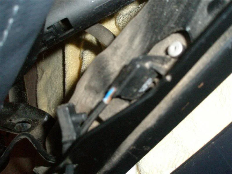 P2082153Medium.webp