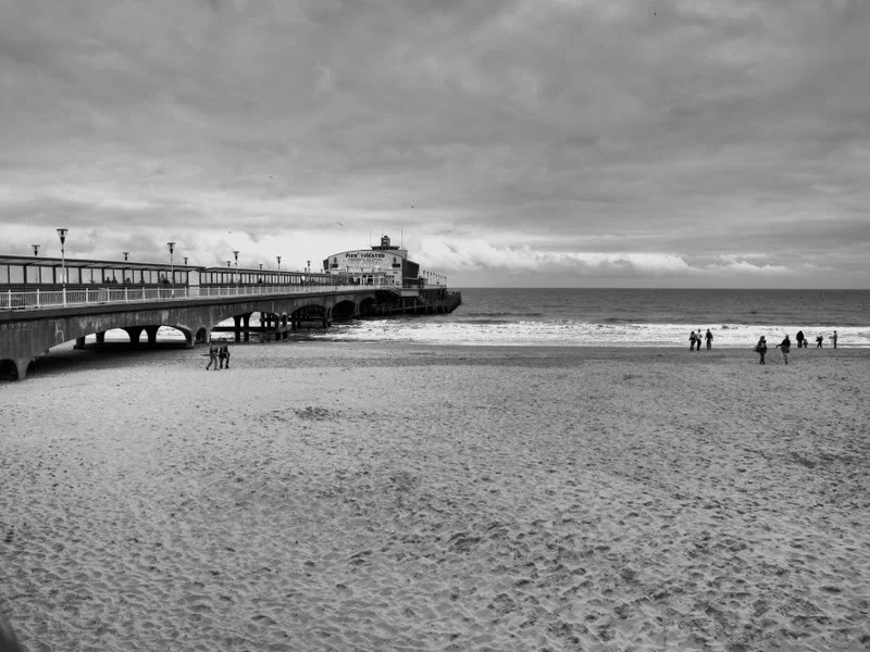 P2230202_3_4_tonemapped-1.webp