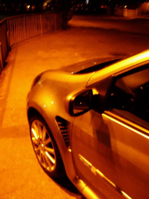 P2291418.webp