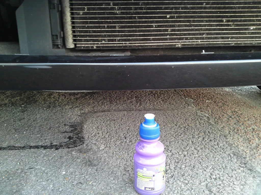 P23-03-09_1012.webp