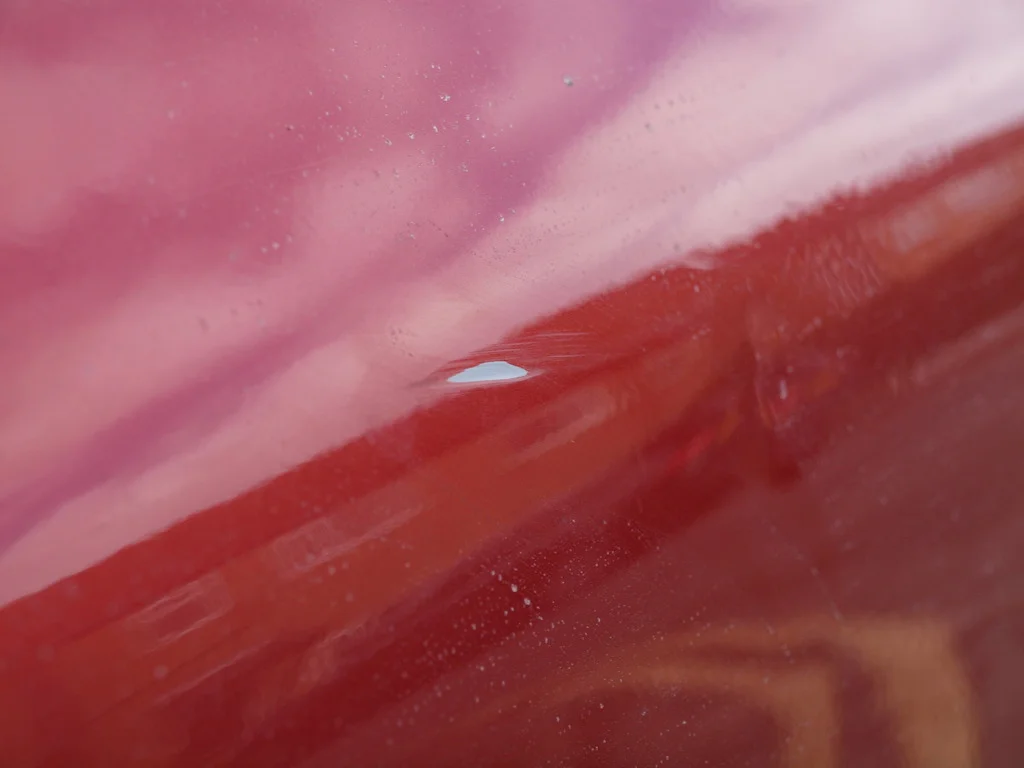 P3063990_zpsetikxpq3.webp