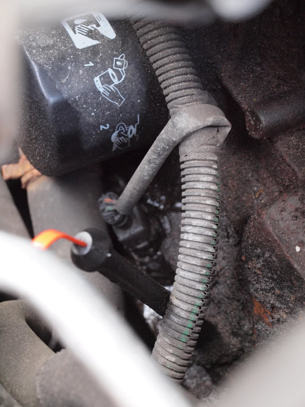 P3064014_zps1ax1zraw.webp