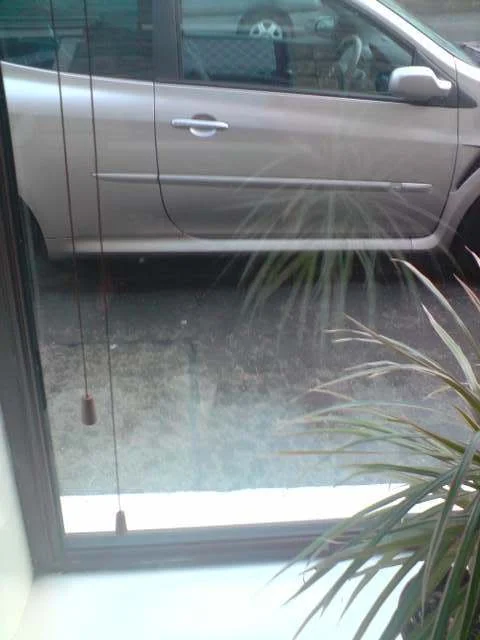 P311208_0951.webp