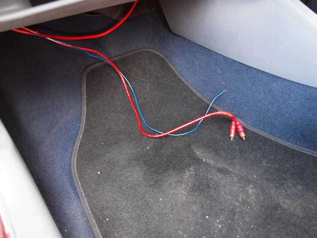 P3144137_zpspb9oo2kg.webp
