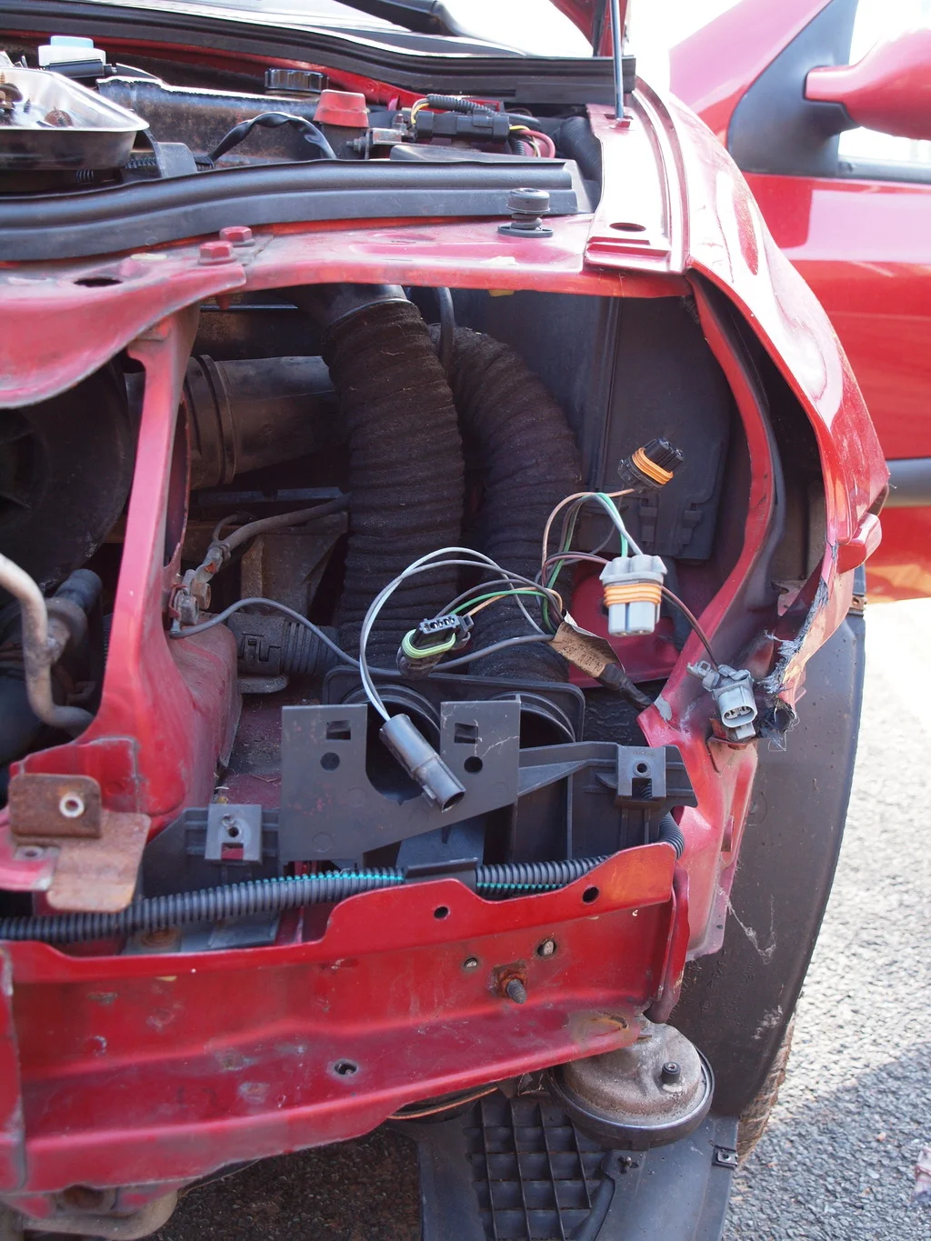 P3144164_zpszauzx4zs.webp