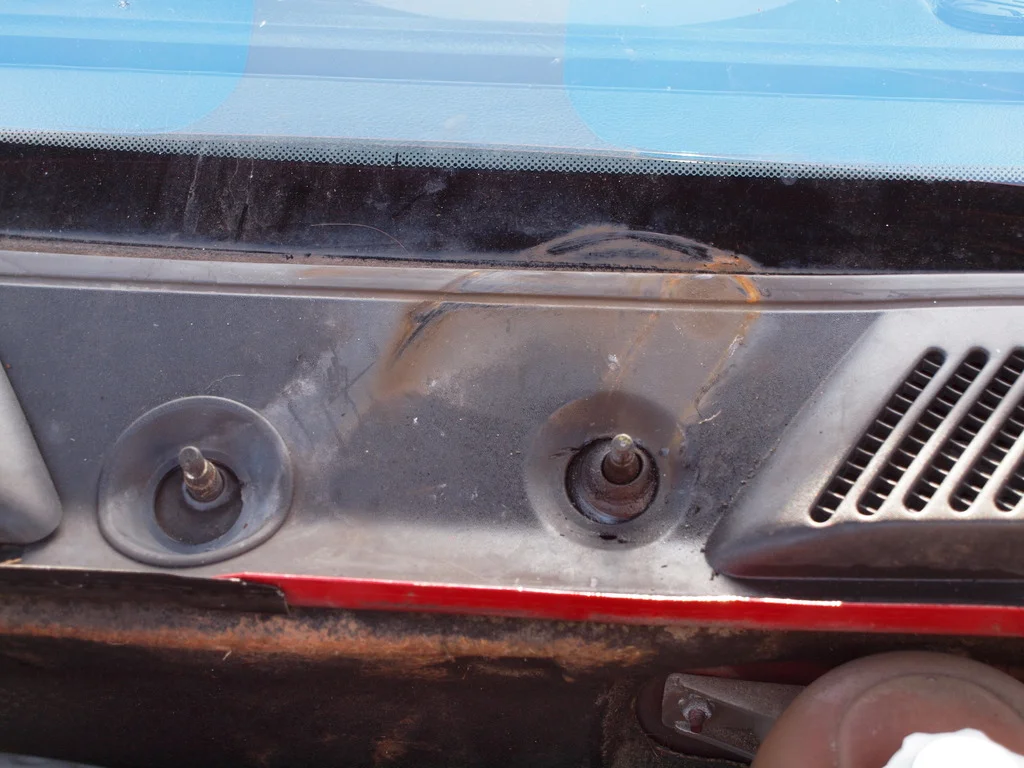 P3144166_zpswj6hqsad.webp