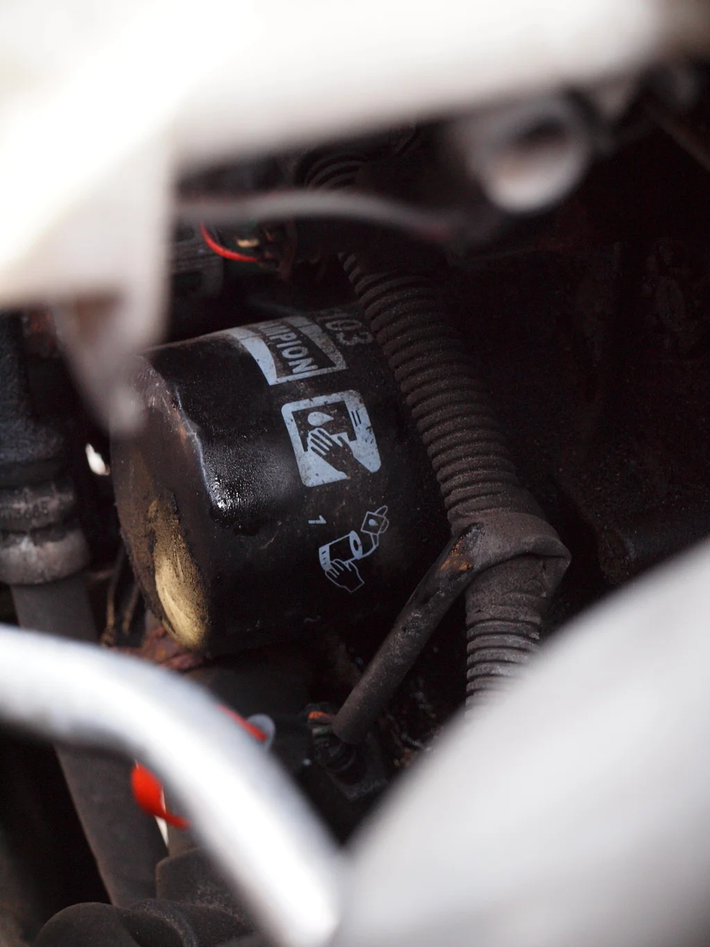 P3144192_zpsjsvepn9o.webp