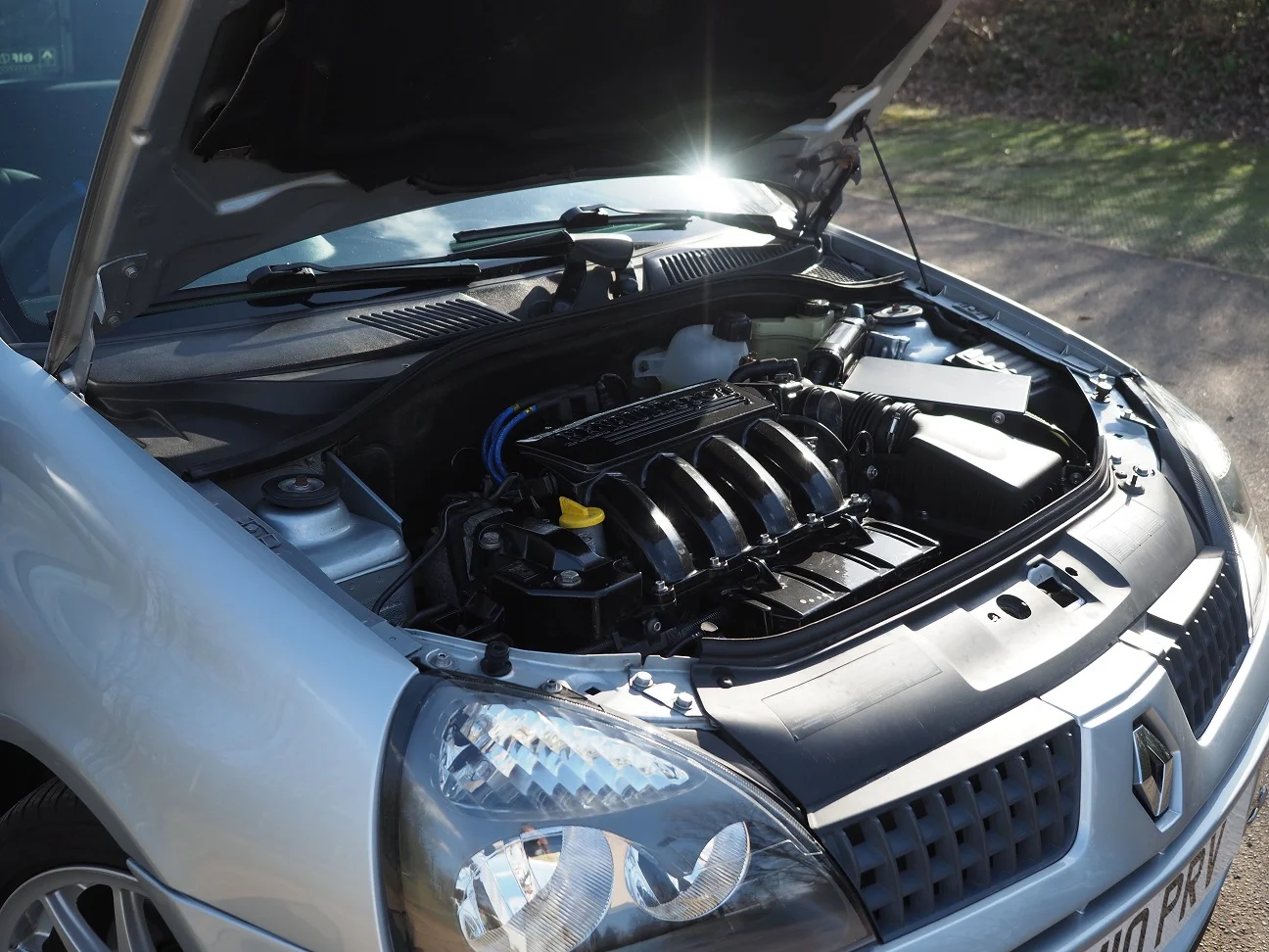 P3241752.webp