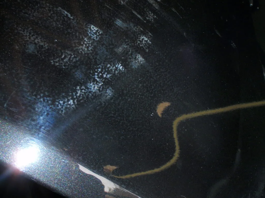 P4010115.webp