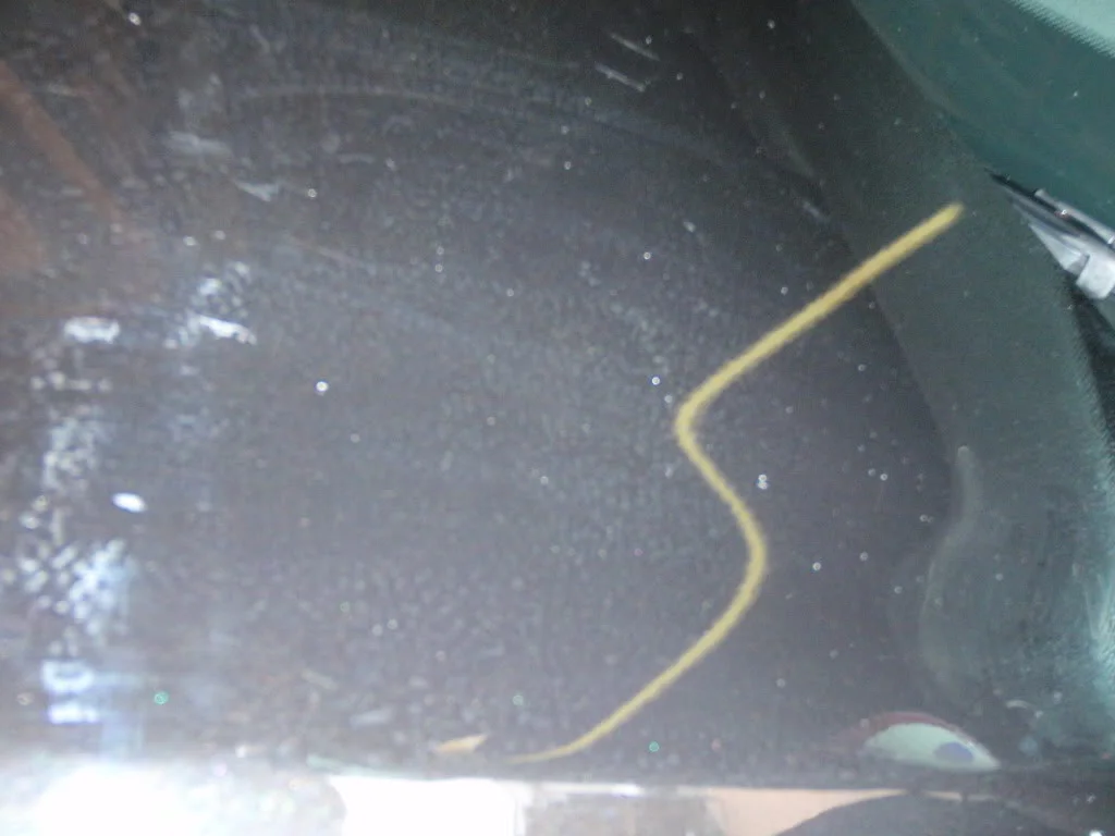 P4010116.webp