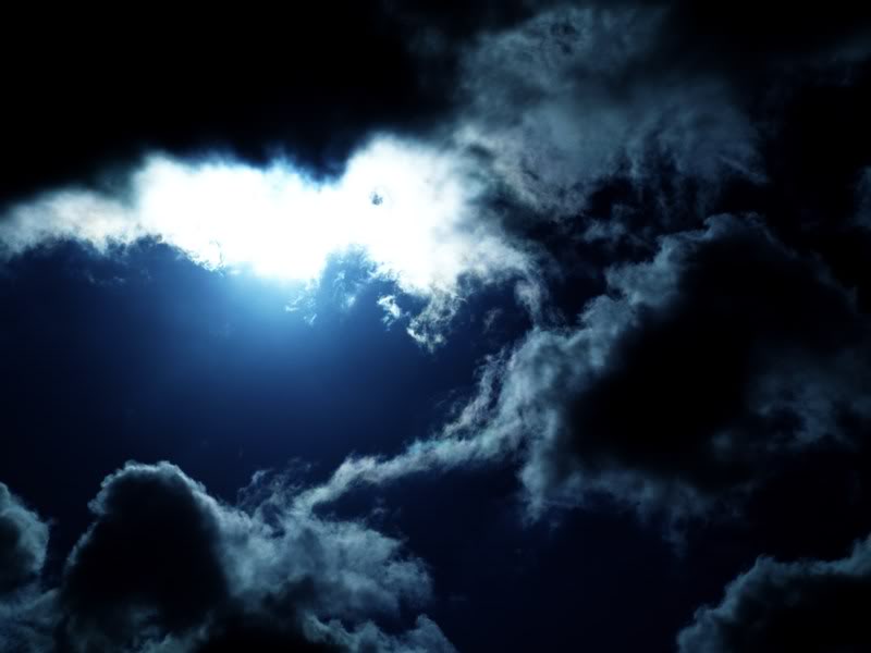 P4050010.jpg