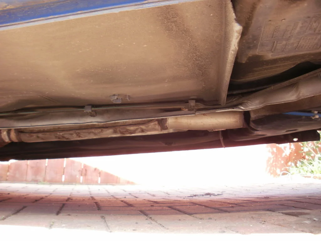 P4090071.webp