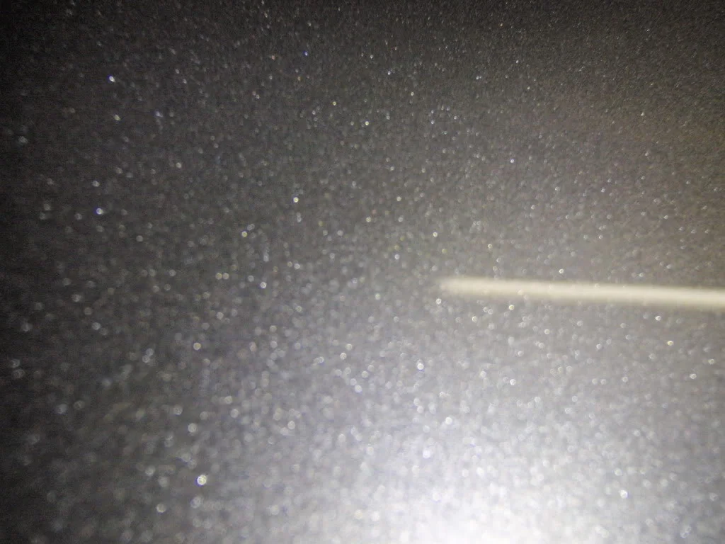 P4090158.webp