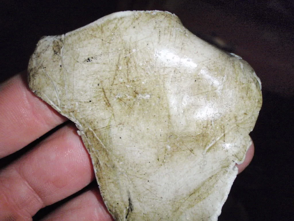 P4140162.webp