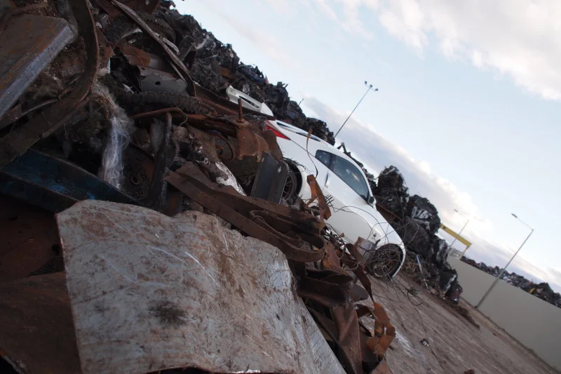 P4140176.webp