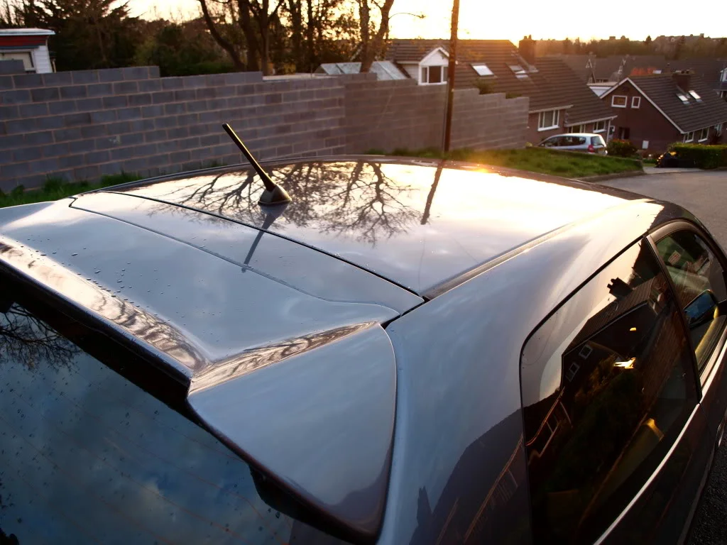 P4182026.webp