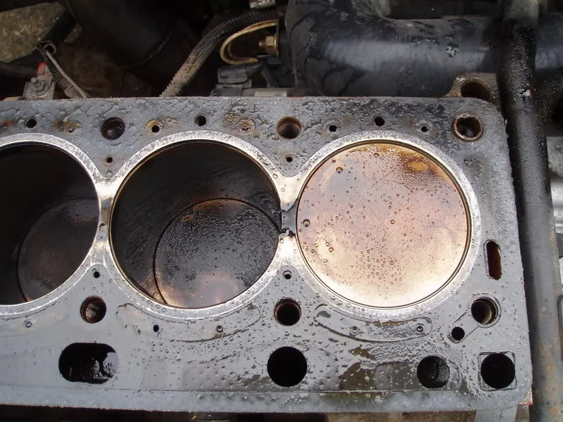 P4230208.webp
