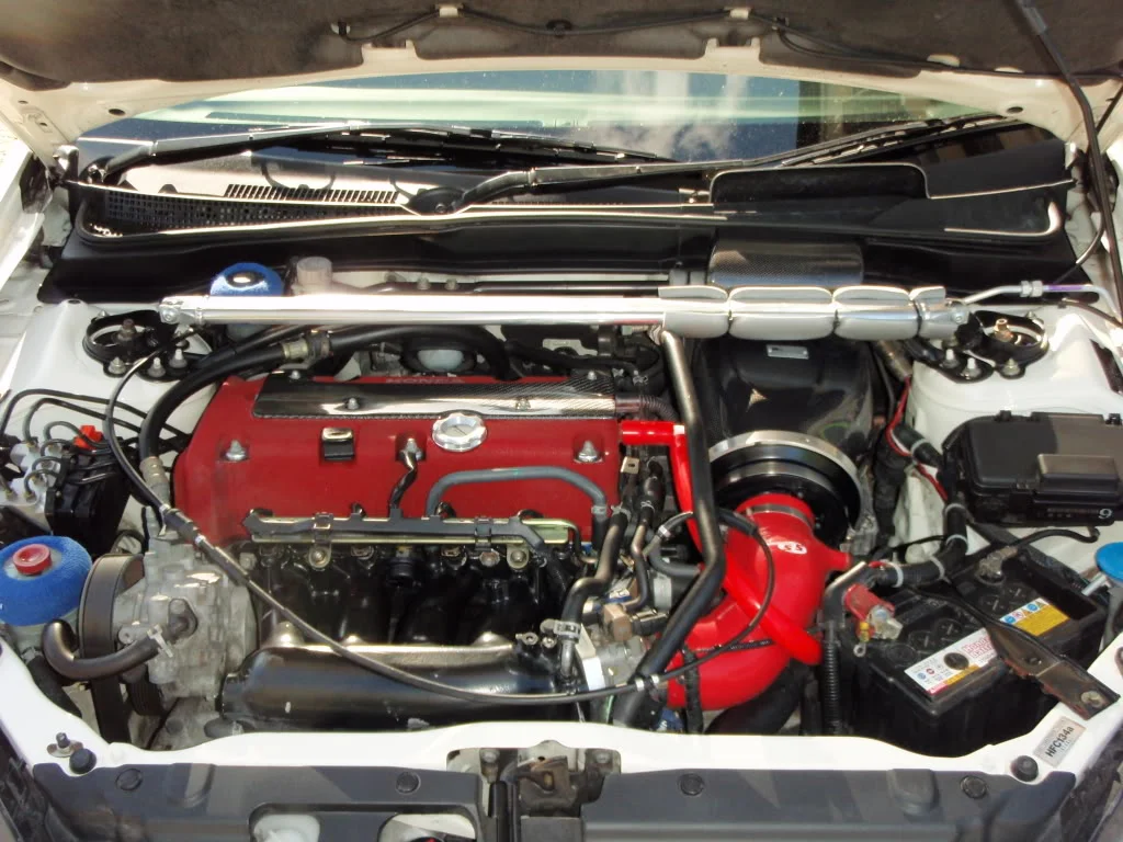 P4250406.webp