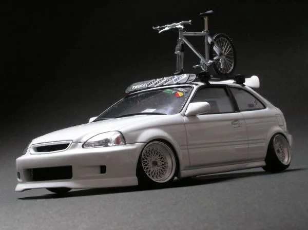 p5.webp