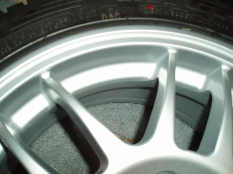 P5110025.webp