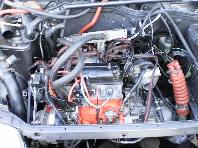 p5200019.jpg p5200019.jpg