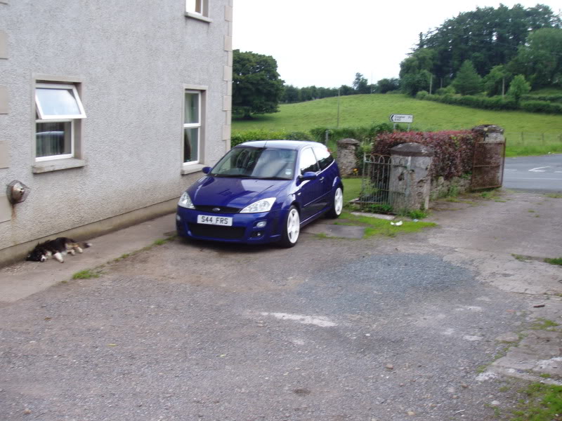 P7100462-1.jpg P7100462-1.jpg