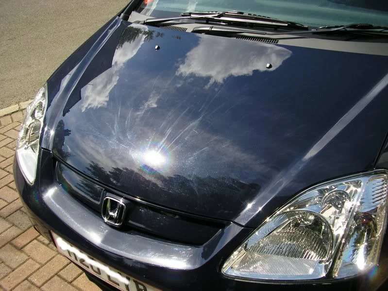 P7271102.webp