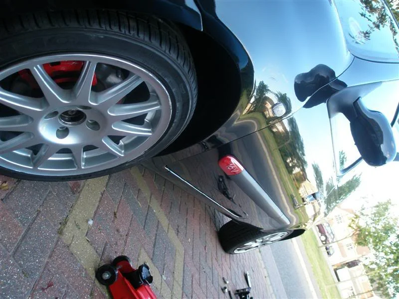 P9110528Medium.webp