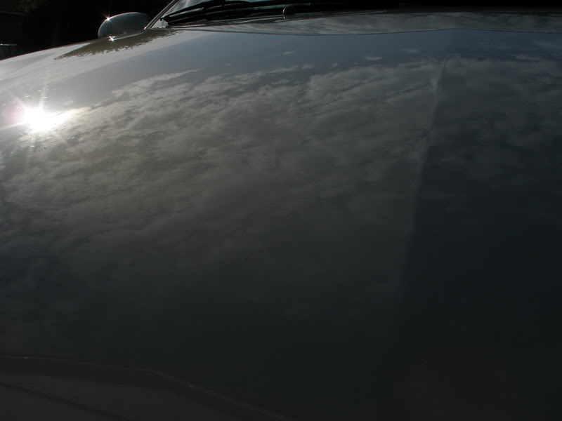 P9210142.jpg