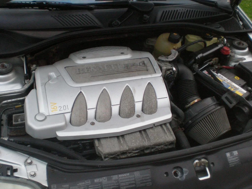 P9220540.webp