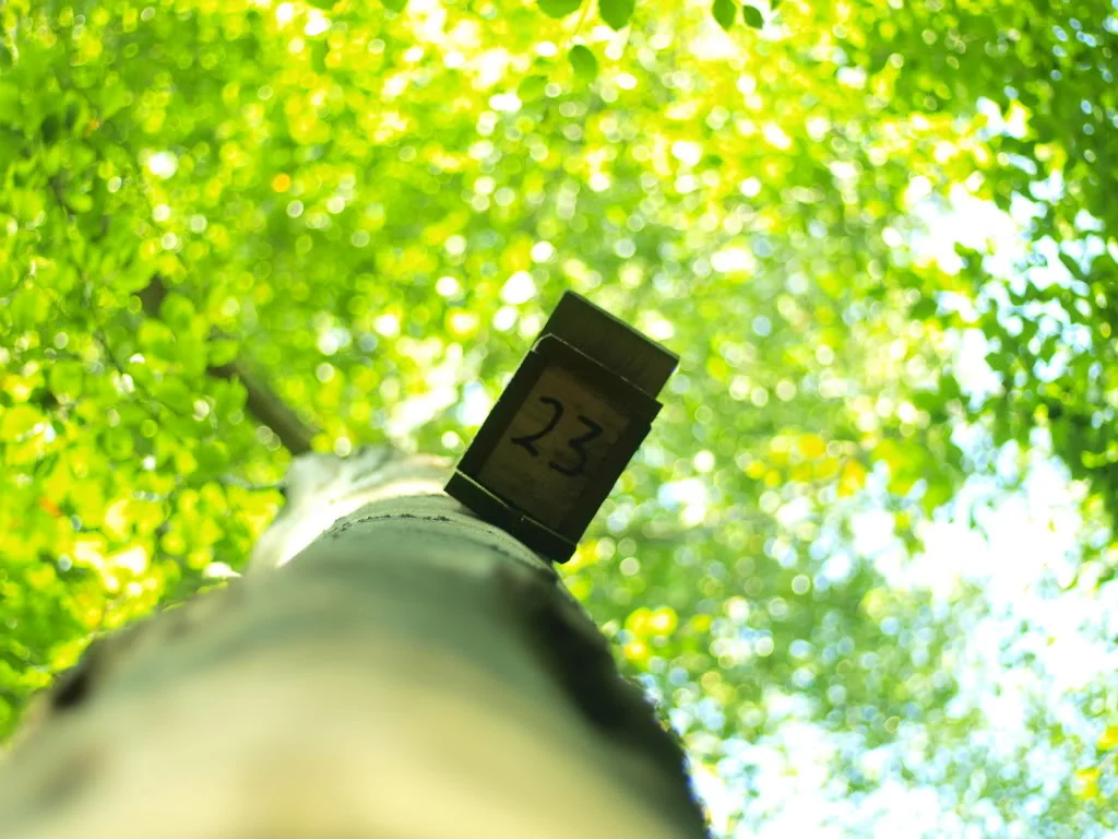 P9271305.webp