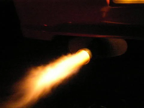 P9290025-1.webp