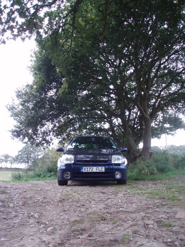 PA040032.webp