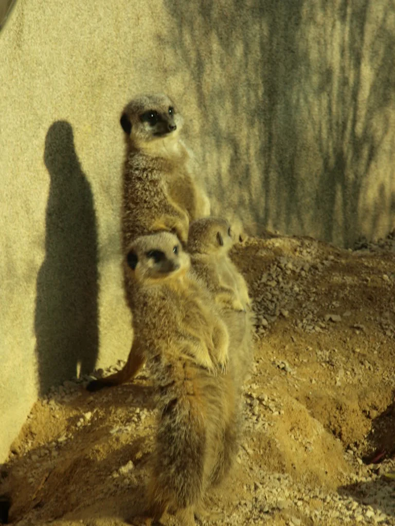 PA162465.webp