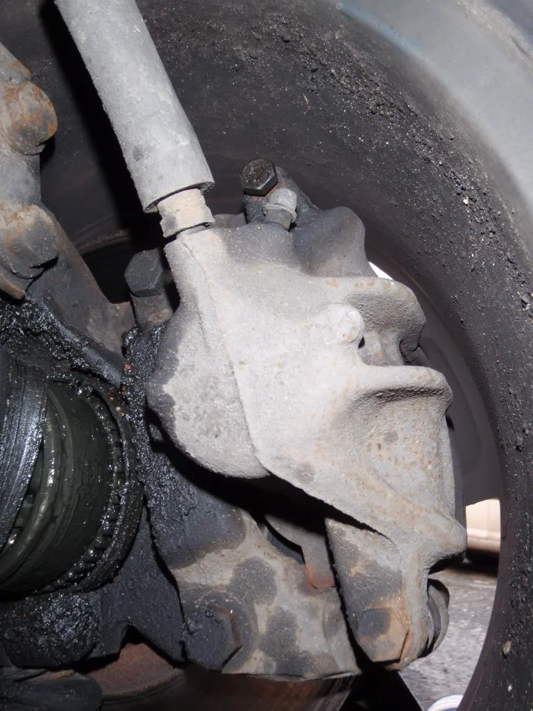 PA250003.webp