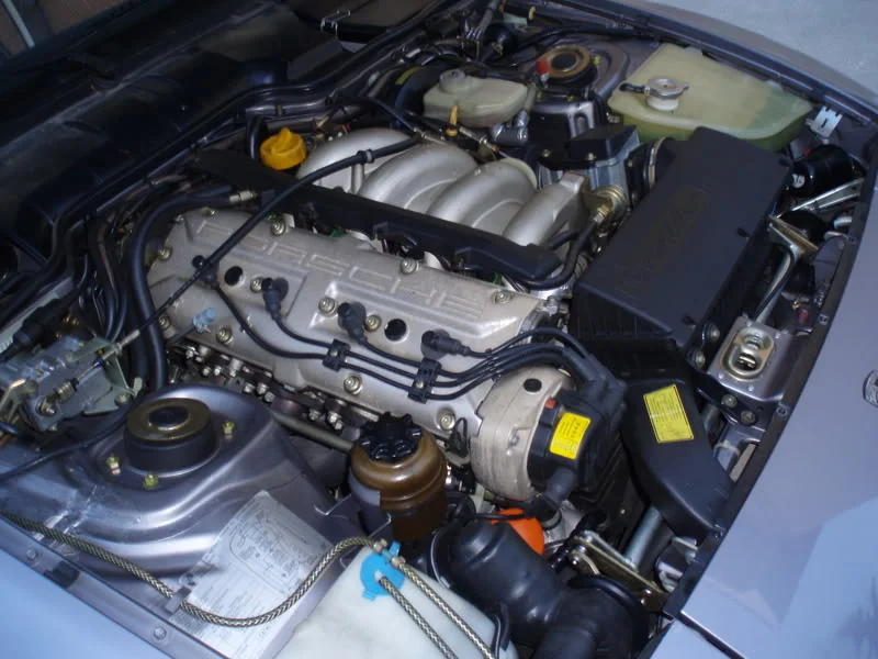 PA290049.webp