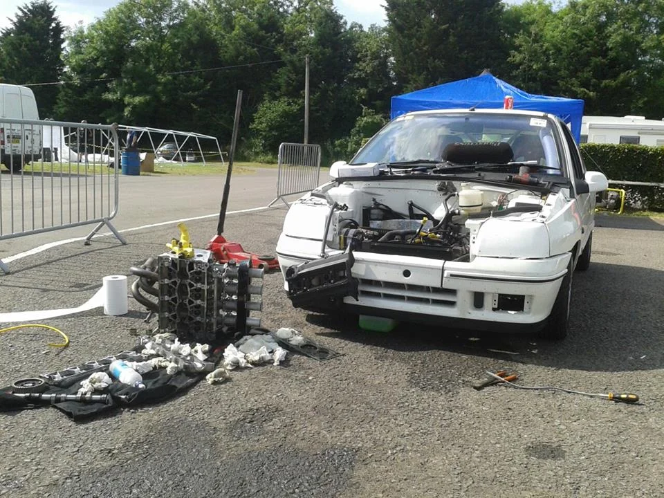 paddock.webp